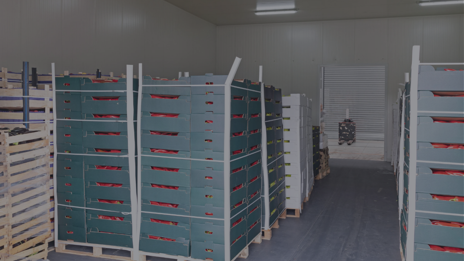 olome Agroalimentaire Logistique